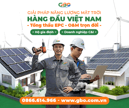 Công Ty TNHH MTV GBO