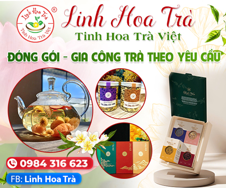 CÔNG TY TNHH Tư VấN DịCH Vụ VÀ THươNG MạI VăN LÊ - GIA CÔNG TRÀ