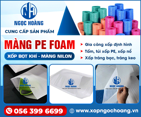 CÔNG TY TNHH SảN XUấT BAO BÌ NGọC HOÀNG