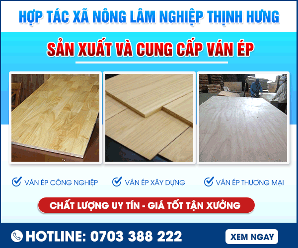 Hợp Tác Xã Nông Lâm Nghiệp Thịnh Hưng