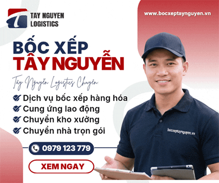 CÔNG TY TNHH DịCH Vụ BốC XếP TÂY NGUYễN LOGISTICS