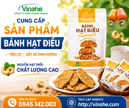 Công Ty TNHH Vinahe
