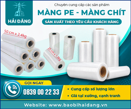 CÔNG TY TNHH SảN XUấT HảI ĐăNG LONG AN