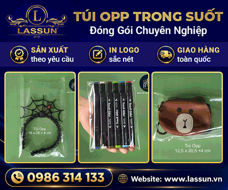 Công Ty Cổ Phần Lassun Việt Nam