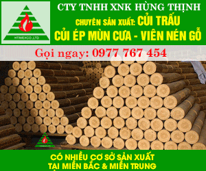 Công Ty TNHH XNK Hùng Thịnh