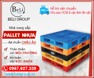 Công Ty TNHH Beli Group - Pallet nhua