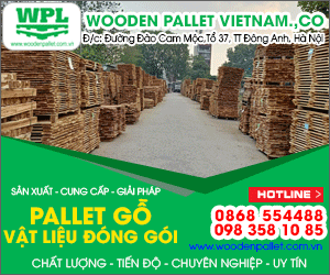 Công Ty CP Đầu Tư Và Thương Mại Wooden Pallet Việt Nam