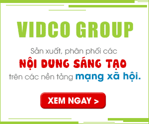 Công Ty TNHH Vidco Group