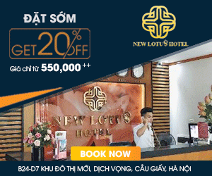 Công Ty TNHH TM DV Và Sản Xuất Tiến Dũng - New Lotus Hotel