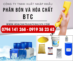 Công Ty TNHH XNK Phân Bón Và Hóa Chất BTC