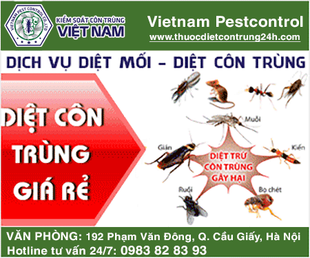 Công Ty TNHH Kiểm Soát Côn Trùng Việt Nam