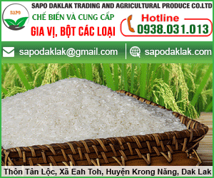 Công Ty TNHH Thương Mại Và Sản Xuất Nông Sản SAPO DakLak