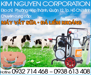 CÔNG TY Cổ PHầN XUấT NHậP KHẩU NăNG LượNG XANH KIM NGUYễN