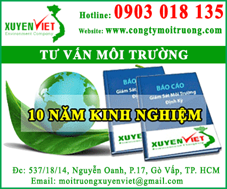 Công Ty TNHH Môi Trường Xuyên Việt