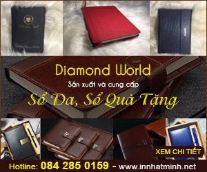 Công Ty TNHH TM DV KT Diamond World