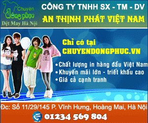 Công Ty TNHH Sản Xuất Thương Mại Dịch Vụ An Thịnh Phát Việt Nam