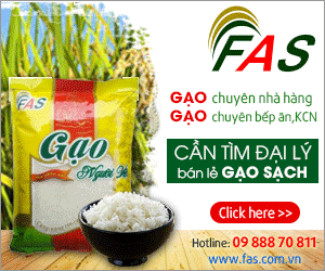 Công Ty TNHH FAS Việt Nam