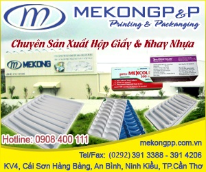 Công Ty TNHH In Mekong