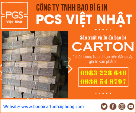 Công Ty TNHH Bao Bì Và In PGS Việt Nhật