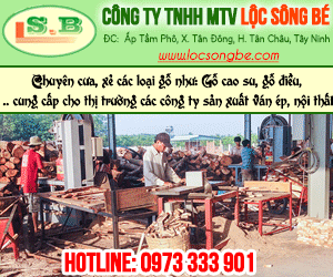 Công Ty TNHH MTV Lộc Sông Bé