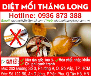 Công Ty TNHH Dịch Vụ Thương Mại Việt Nam Thăng Long