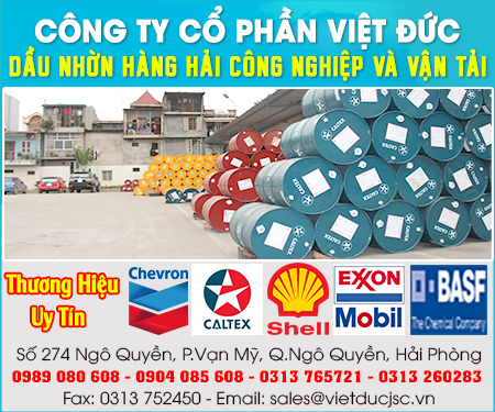 CÔNG TY Cổ PHầN VIệT ĐứC