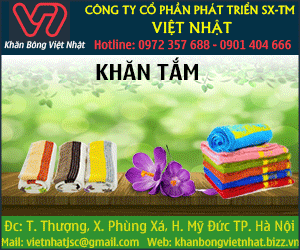 Công Ty Cổ Phần Phát Triển SX - TM Việt Nhật