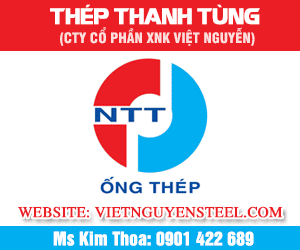 Công Ty Cổ Phần Xuất Nhập Khẩu Việt Nguyễn